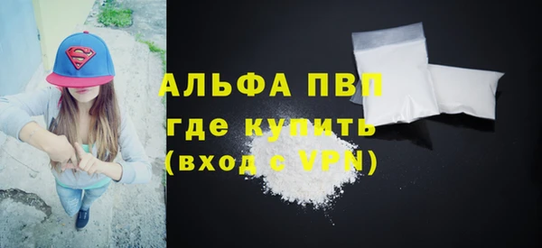 спиды Богданович