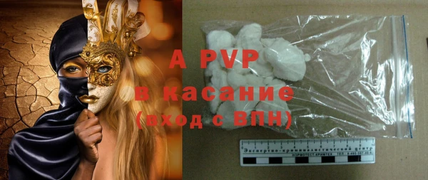 спиды Богданович