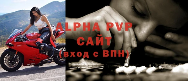 спиды Богданович